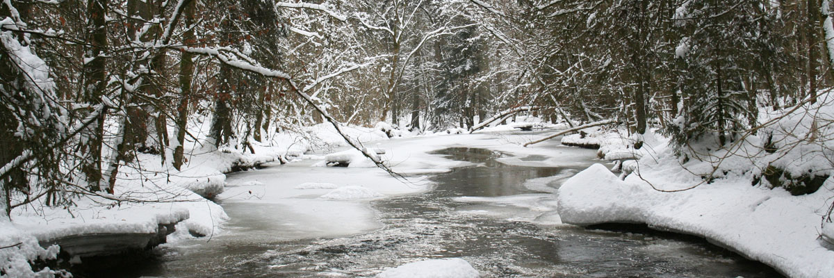 Header Neukirchen 033