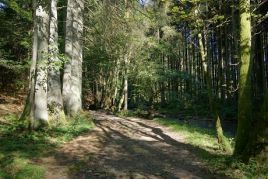 Natur- und Erlebnispfad Perlbachtal Neukirchen-Steinburg