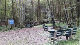 Wassertreten in Neukirchen