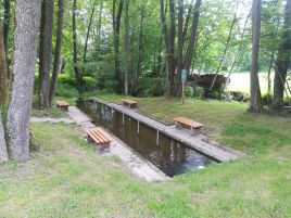 Wassertreten in Neukirchen