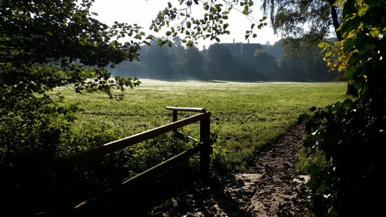 Wandern Hofwiese