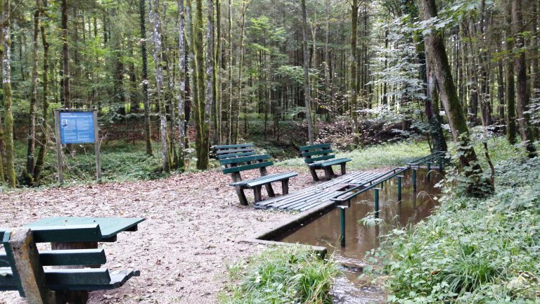 Wassertretanlage im Perlbachtal